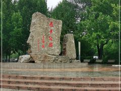 -泰丰公园