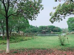 -艾溪湖湿地公园