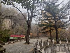 -北京鹫峰国家森林公园