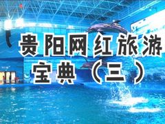 -多彩贵州城极地海洋世界