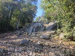 -北仑森林植物园