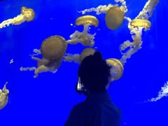 -上海海洋水族馆-停车场