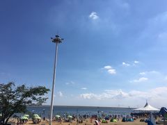 -碧海金沙