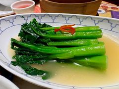 -点都德·毕德寮