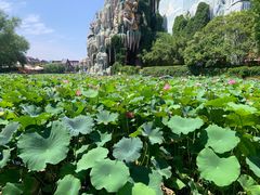 -郑州方特梦幻王国