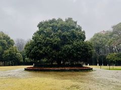 -灵谷景区