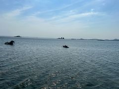 -微山湖红荷湿地景区