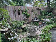 -自由生长植物工作室(深港花卉中心店)