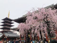-浅草寺