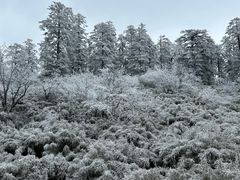 -瓦屋山景区