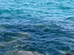 -海源公园
