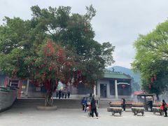 -悦城龙母祖庙