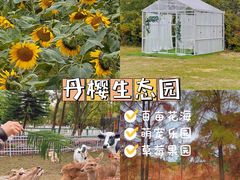 -丹樱生态园