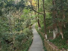 -杭州半山国家森林公园