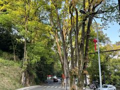 -缙云山景区