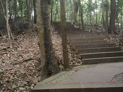 -凤栖山