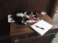 -金华市剪纸博物馆