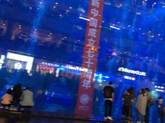 -成都浩海立方海洋公园