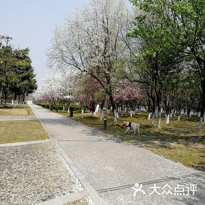 東沙湖生態公園