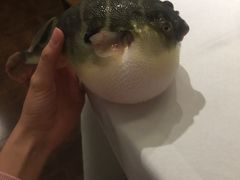 -肆月河豚·新淮扬(金融街店)