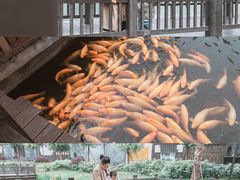 -枫香湖儿童公园