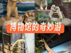 -陕西自然博物馆