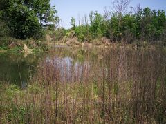 -桤木河湿地公园