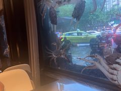 -新花城蟹粉馆(乌鲁木齐店)