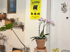 -ABCD咖啡屋(妇幼店)