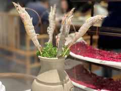 -俏牛哥鲜牛肉牛肆馆(重庆天地店)