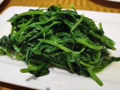 清炒豌豆尖-渝信川菜(工体店)
