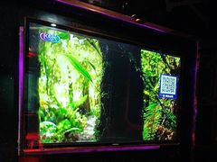 -欢唱99KTV(葵涌店)