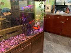 -津门羊大爷铜锅涮肉(雅清街店)