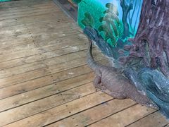 -石家庄市动物园