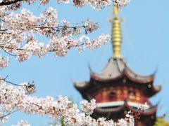 -鸡鸣寺