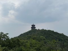 -杭州半山国家森林公园