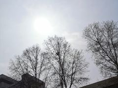 -中南财经政法大学(首义校区)