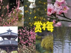 -宝鸡植物园