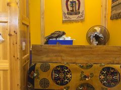 -卡万金特色藏餐