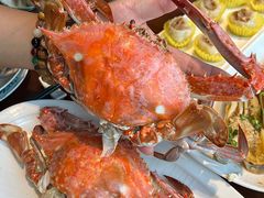 -高佳庄·舟山海鲜(海景旗舰店)