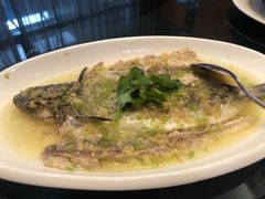 -金华安大酒楼·老牌潮菜·粤式茶点(东方国际店)