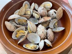 焗花甲-萨莉亚意式餐厅(深南茂业店)