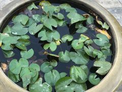 -张掖大佛寺景区