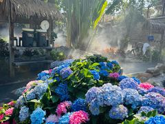 -龙佳生态温泉山庄