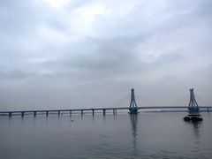 -北海金海湾红树林生态旅游区