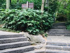 -云龙山