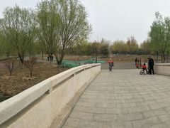 -东郊湿地公园