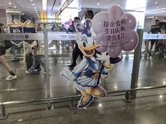 -上海浦东国际机场-T2航站楼