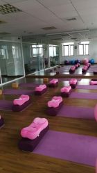 -爱尔乐美孕产瑜伽·普拉提