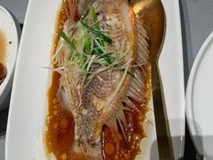 清蒸星洲红-徐记海鲜(南油永新汇店)
